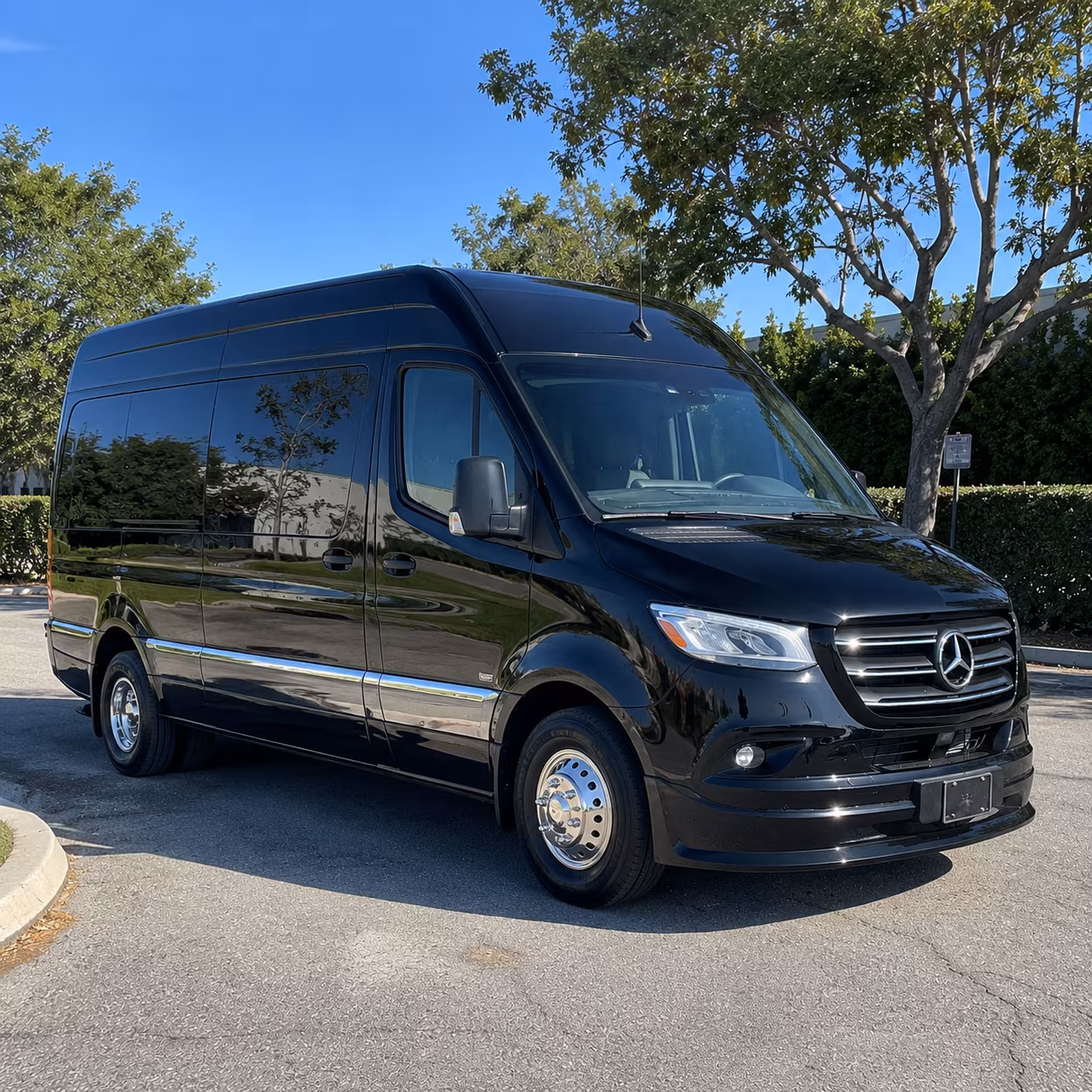 fort worth wedding sprinter van rental